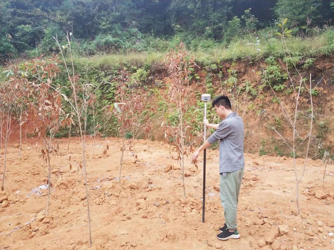 土地规划部项目纪实丨4008云顶集团人，助力荒地变桑田！