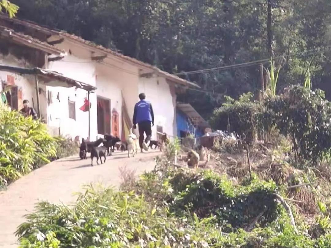 阳春房地一体项目纪实丨无悔青春多砥砺，最是奋斗动人心