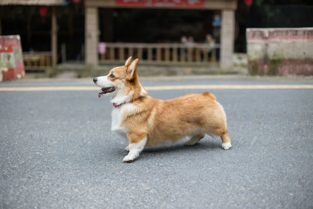 再见，我的老朋友