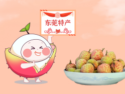 漫话4008云顶集团丨一颗有“故事”的荔枝！