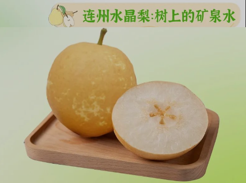 “桃李”酷暑，清凉一夏