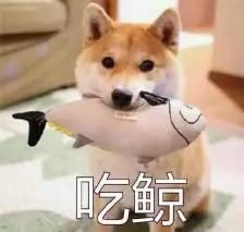 微信图片_20210706091843.jpg